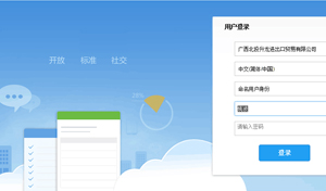 管理系統(tǒng)開(kāi)發(fā)